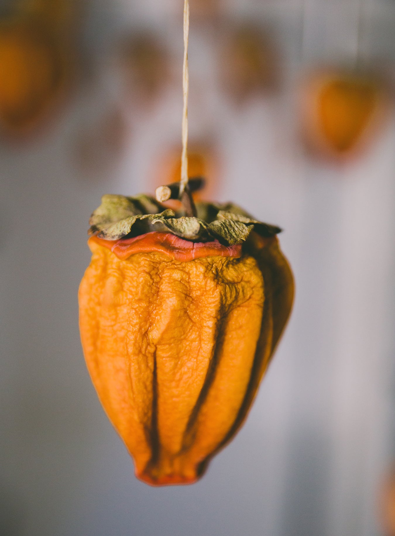 Dried California Persimmons
