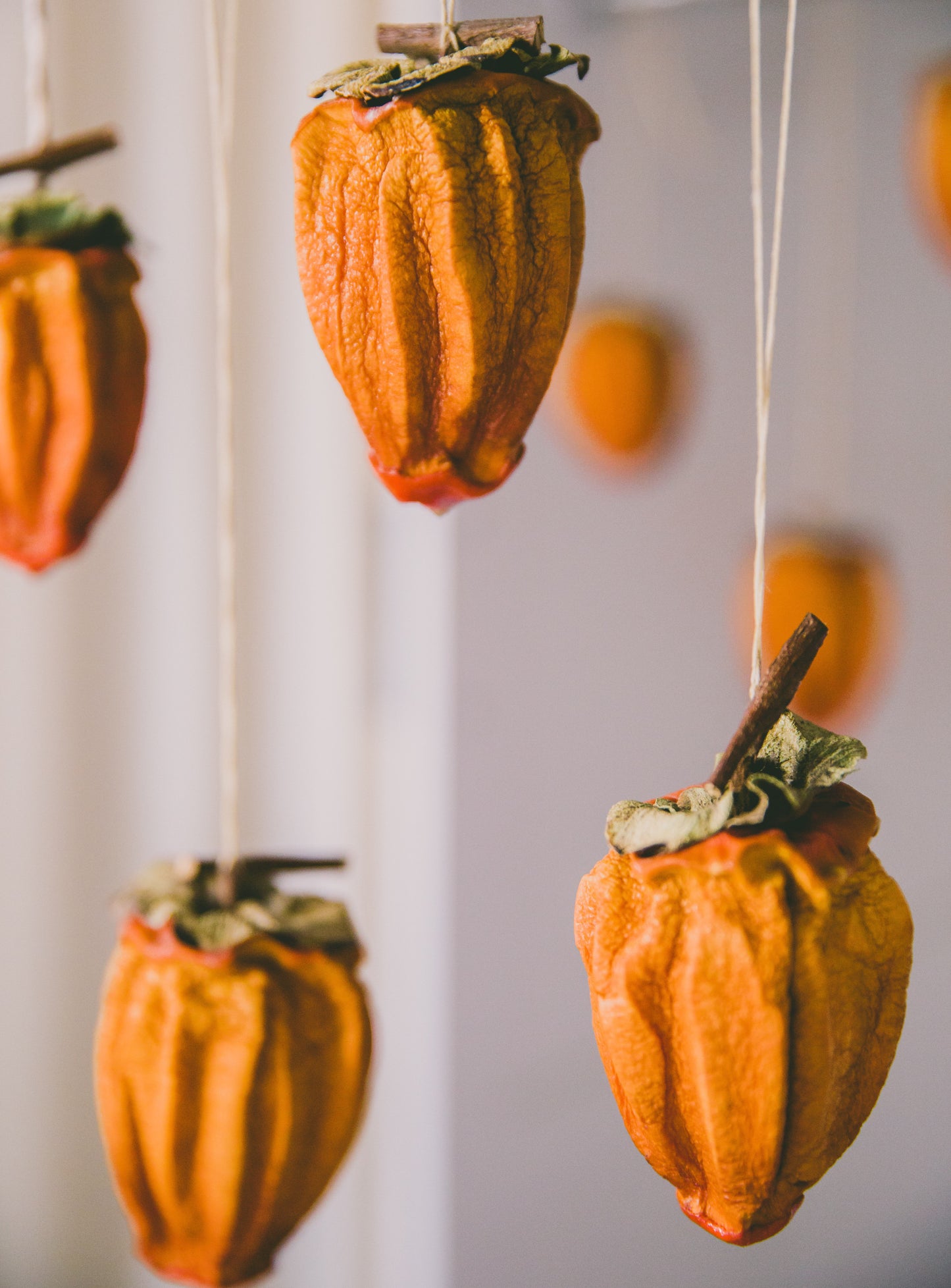 Dried California Persimmons