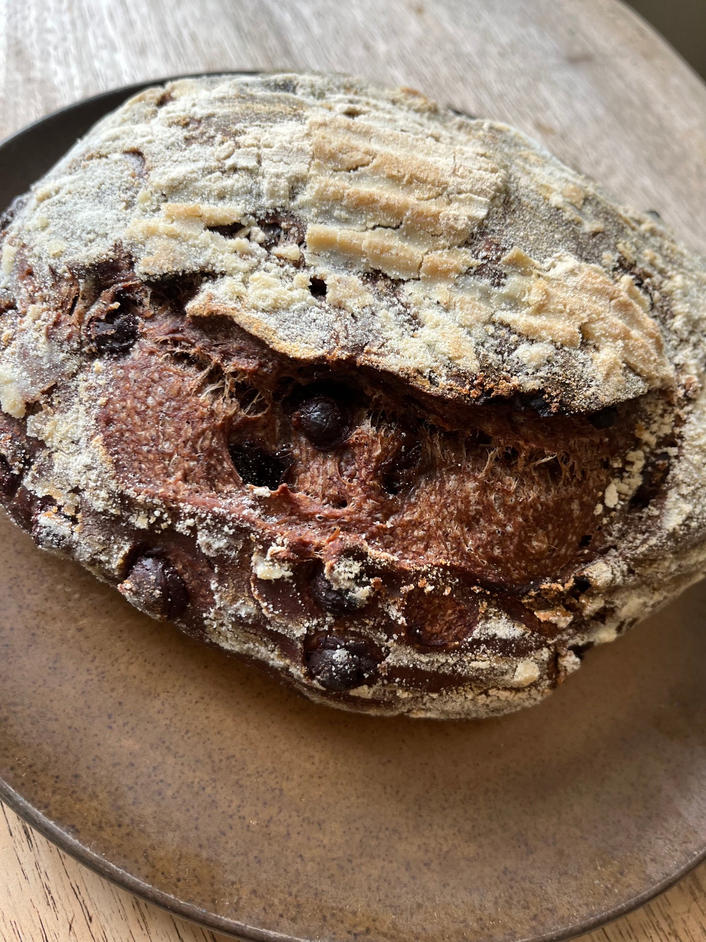 Sourdough Noir Kit